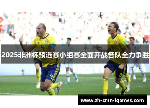 2025非洲杯预选赛小组赛全面开战各队全力争胜